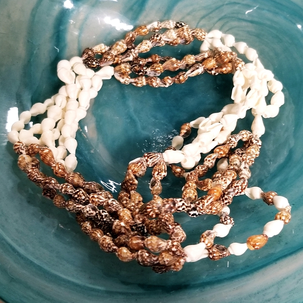 NWOT Natural Shell Colorblock Necklace